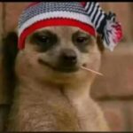 Profile picture of edwinnzyuko